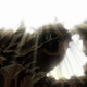 Illustration for article titled Why I am Unable to Enjoy emSpace Dandy/em